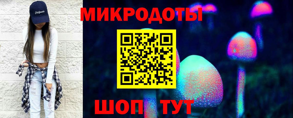 Кызыл  Галлюциногенные грибы прущие грибы  Вход с VPN 